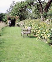 Garden2