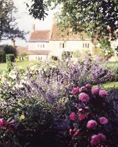 Garden4