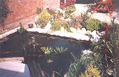 pond